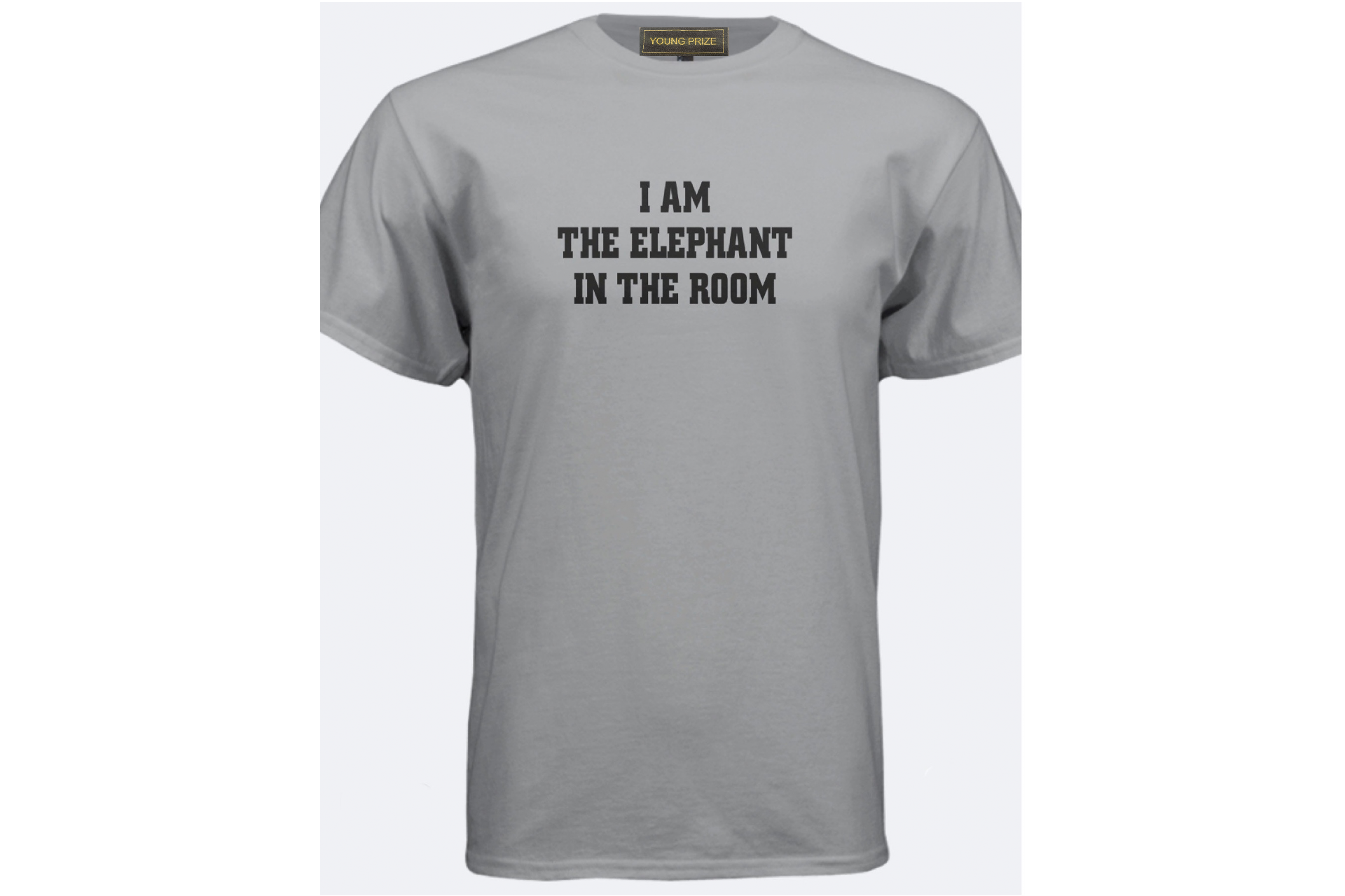 Grey "I Am The Elephant.." T Shirt